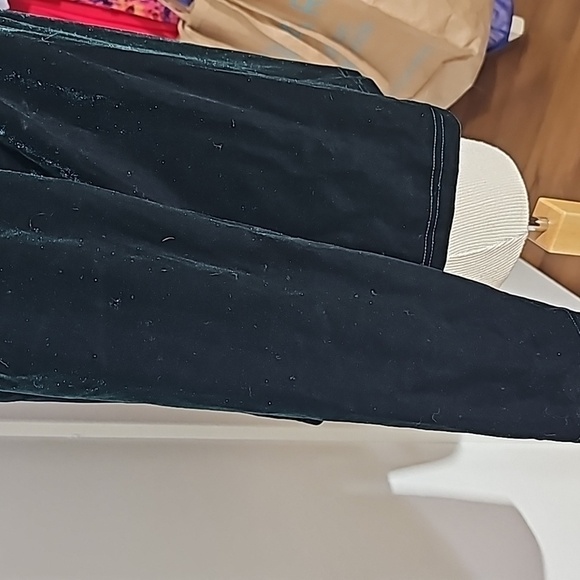 Allegra NWT, green velvet long sleeve top. Size XL. Mesh with hearts in front. - Picture 4 of 10